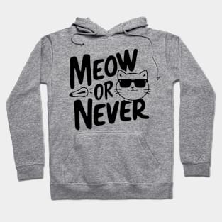 meow or never Hoodie